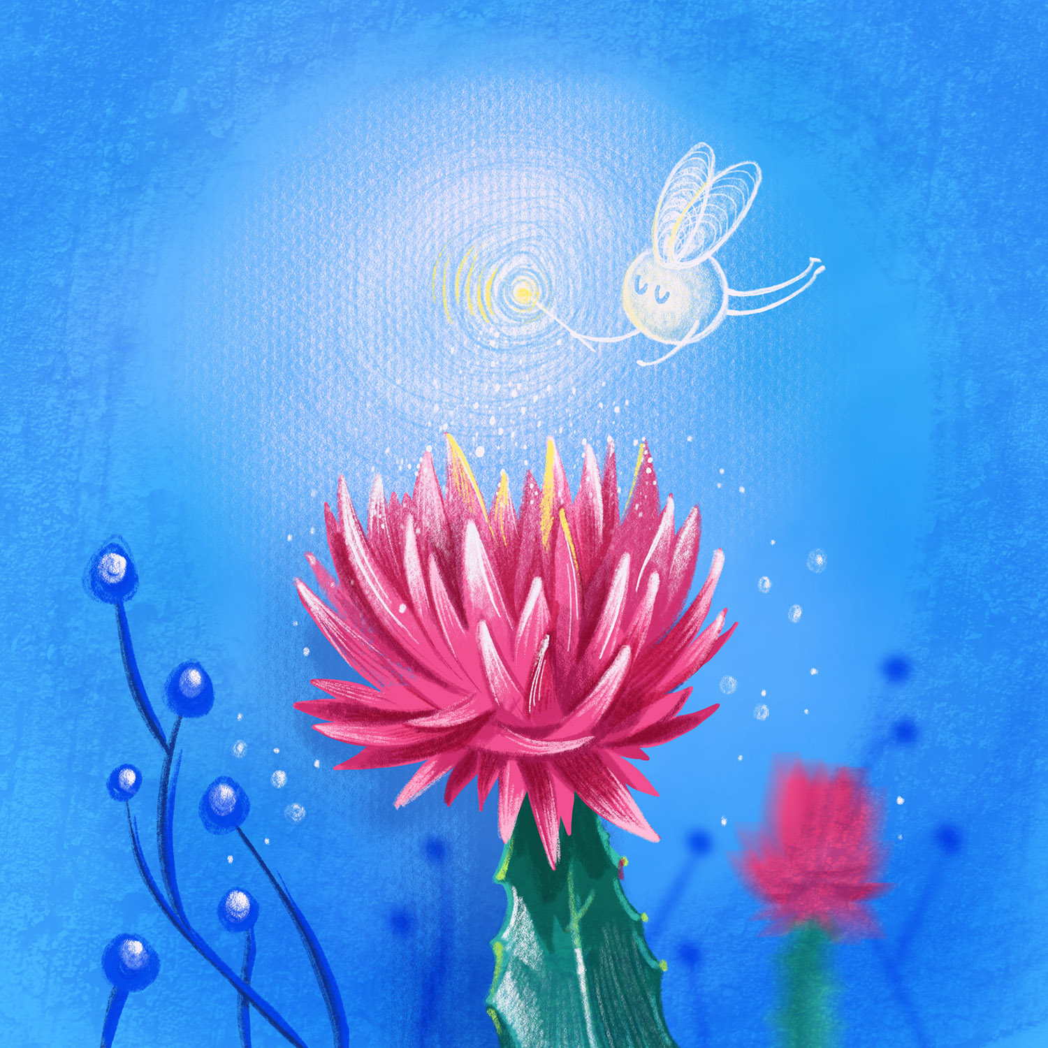 fleur et lumière